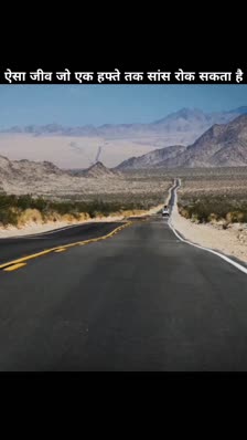 wp_story1650884375802_0